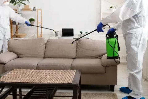 Köpek kulübesinde pire sorunu sonrası ev içinde pire uygulaması yapan iki uzman